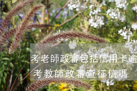 考老師政審包括信用卡逾期過(guò)嗎 考教師政審查征信嗎