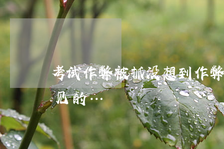 考试作弊被抓！没想到作弊工具竟是看似很常见的…