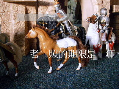 考駕照的期限是幾年