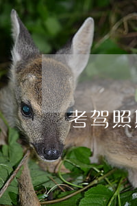 考驾照期限是几年