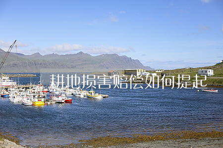 耕地损害赔偿如何提起