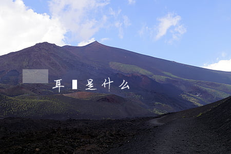 耳倉是什么
