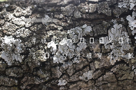 耳膜穿孔的輕傷鑒定標(biāo)準(zhǔn)（耳膜穿孔一般賠多少錢）