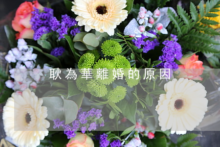 耿為華離婚的原因