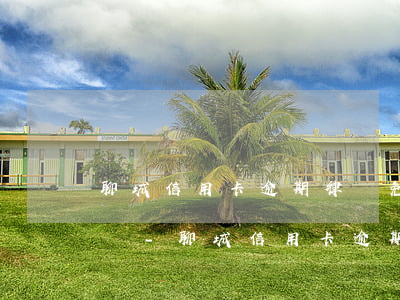 聊城信用卡逾期律師免費(fèi)咨詢電話-聊城信用卡逾期律師免費(fèi)咨詢電話是多少