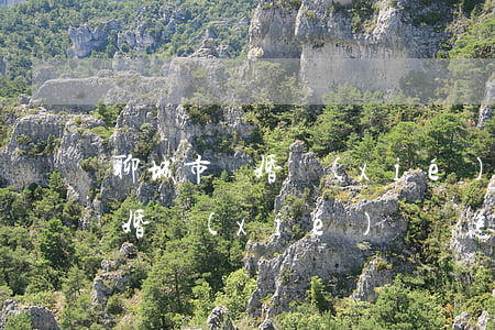 聊城市離婚協(xié)議書怎么寫(夫妻離婚協(xié)議書怎么寫合法)