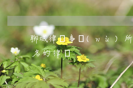 聊城律師事務(wù)所哪個好(聊城比較出名的律師)