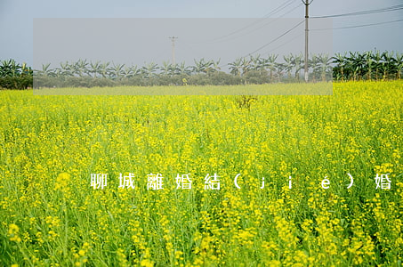 聊城離婚結(jié)婚證丟了一本怎么辦