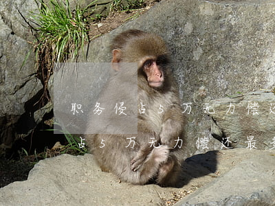 职务侵占5万无力偿还最多判几年-职务侵占5万无力偿还最多判几年徒刑