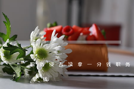 职务侵占没拿一分钱(职务侵占从犯不知情没拿钱)