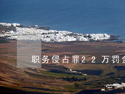 职务侵占罪22万罚金多少(职务侵占罪 金额)