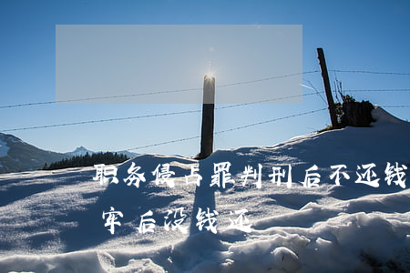 职务侵占罪判刑后不还钱怎么办(职务侵占坐牢后没钱还)