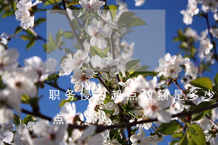 职务侵占起点数额是多少(职务侵占罪量刑起点)