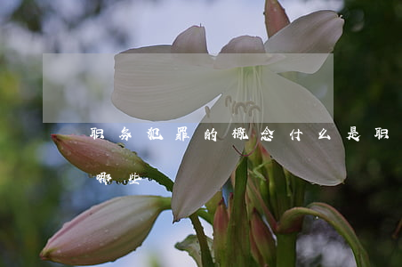 职务犯罪的概念(什么是职务犯罪,职务犯罪有哪些?)