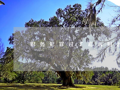 职务犯罪过了追诉期怎么办(追诉期内又犯罪)