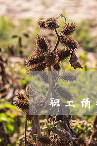 职工请病假，最低是否应按基本工资发放？
