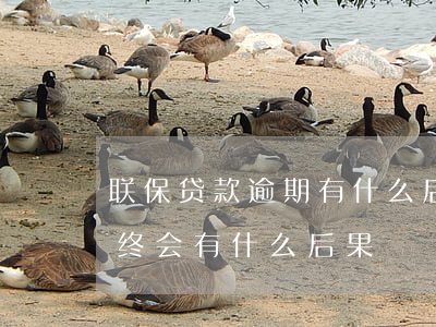 联保贷款逾期有什么后果(联保贷款还不上,最终会有什么后果)