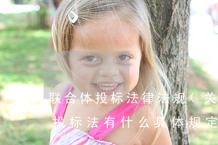 联合体投标法律法规(关于联合体投标的招投标法有什么具体规定)