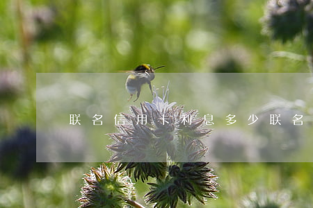 联名信用卡利息多少(联名款信用卡)