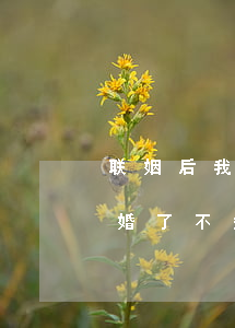 联姻后我不想离婚了不知道(联姻后我不想离婚了不知道第几个)