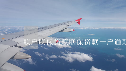 联户联保贷款（联保贷款一户逾期）