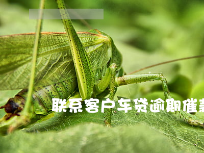 联系客户车贷逾期催款话术