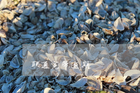 联通宽带逾期