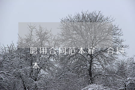 聘用合同范本(雇傭合同協(xié)議書范本)