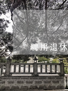 聘用退休人員合同