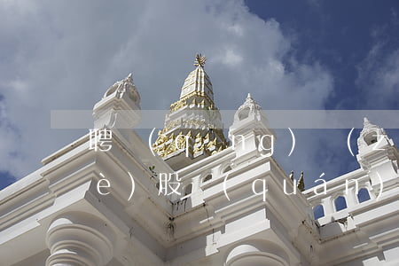聘請(qǐng)專(zhuān)業(yè)股權(quán)律師怎么委托(律師事務(wù)所股東可以不是律師嗎)