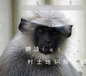聘請(qǐng)律師代理農(nóng)村土地糾紛可以嗎(打農(nóng)村土地官司的律師)