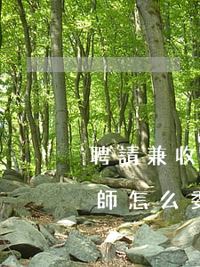 聘請兼收并購律師怎么委托(聘請兼收并購律師怎么委托)