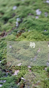 聘請北京律師所(北京聘請律師咨詢)