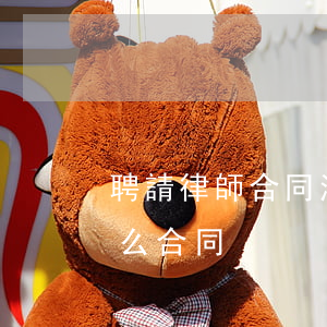 聘請律師合同注意事項(請律師要和律師簽什么合同)