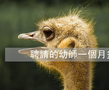 聘請的幼師一個月多少錢(幼師月薪多少)