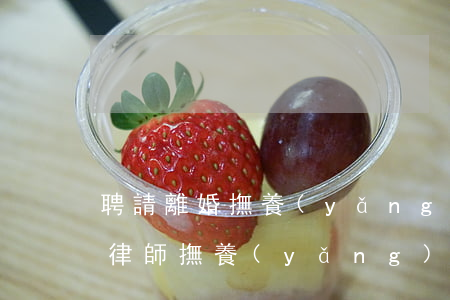 聘請離婚撫養(yǎng)權(quán)律師(撫養(yǎng)權(quán)律師費用收取標(biāo)準(zhǔn))