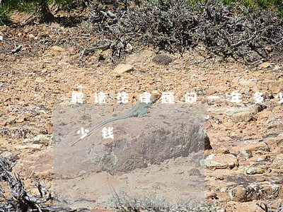 聘请法律顾问一年多少钱(法律顾问费一年多少钱)