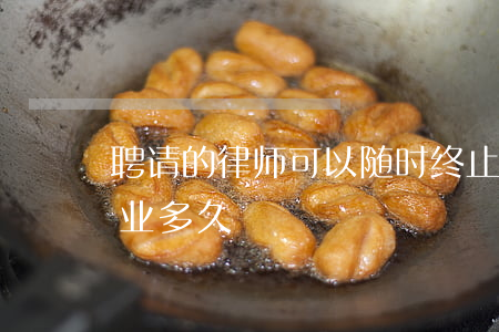 聘请的律师可以随时终止吗(律师可以暂停执业多久)