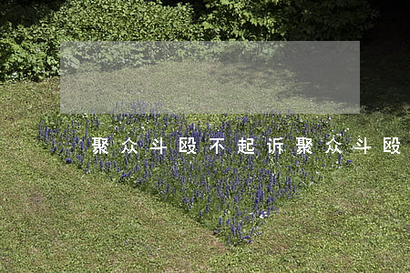 聚众斗殴不起诉(聚众斗殴不起诉决定书)
