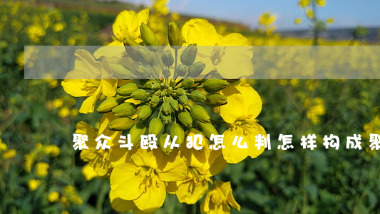 聚众斗殴从犯怎么判(怎样构成聚众斗殴罪)