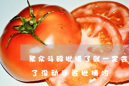 聚众斗殴批捕了就一定会判刑吗(聚众斗殴去了没动手会批捕吗)