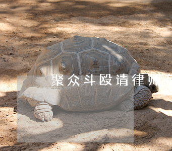 聚众斗殴请律师有用吗(打架请律师有用吗)