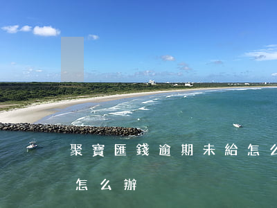 聚寶匯錢逾期未給怎么辦(聚寶匯錢逾期未給怎么辦)