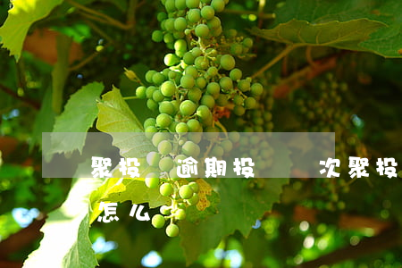 聚投訴逾期投訴兩次(聚投訴如果一直不處理怎么辦)