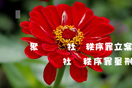 聚眾擾亂社會秩序罪立案標準_2021聚眾擾亂社會秩序罪量刑標準和認定構成要件