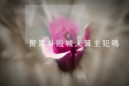 聚眾斗毆喊人算主犯嗎