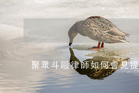 聚眾斗毆律師如何會見提問