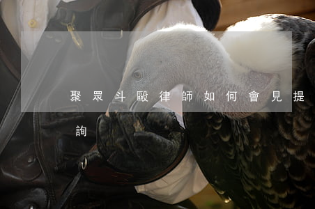 聚眾斗毆律師如何會見提問(打架斗毆律師咨詢)