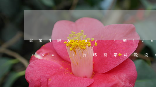 聚眾斗毆沒(méi)動(dòng)手會(huì)判嗎(聚眾斗毆沒(méi)有打起來(lái)算犯罪嗎)