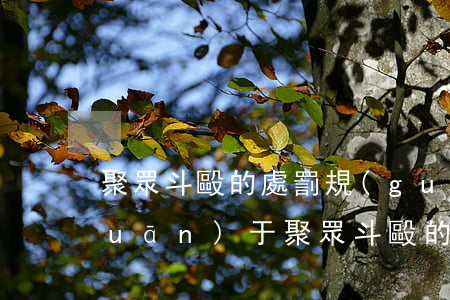 聚眾斗毆的處罰規(guī)定(刑法關(guān)于聚眾斗毆的規(guī)定)